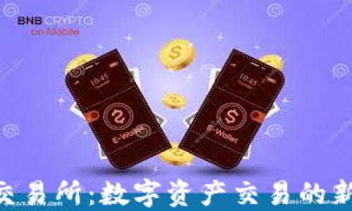 
IMC交易所：数字资产交易的新时代
