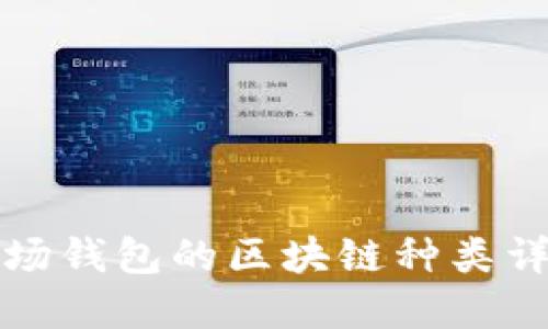 波场钱包的区块链种类详解