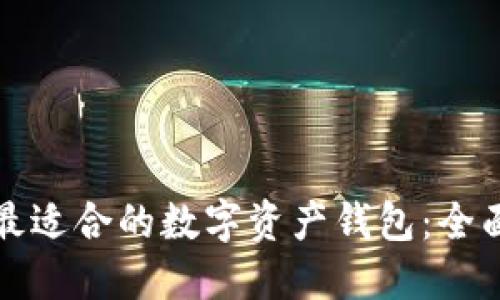 选择最适合的数字资产钱包：全面指南