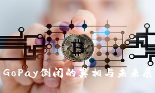 : GoPay倒闭的真相与未来展望