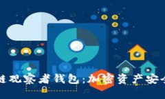 深入探索区块链观察者钱