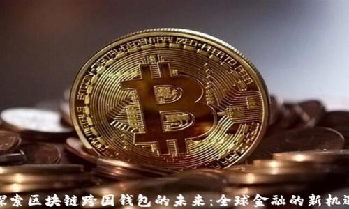 
探索区块链跨国钱包的未来：全球金融的新机遇