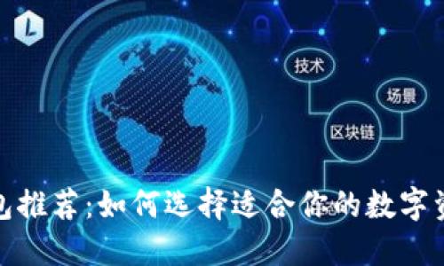 数字加密钱包推荐：如何选择适合你的数字资产管理工具