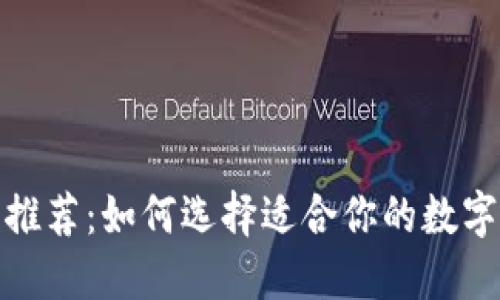 数字加密钱包推荐：如何选择适合你的数字资产管理工具