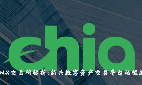 IMX交易所解析：新兴数字资产交易平台的崛起