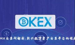 IMX交易所解析：新兴数字资产交易平台的崛起