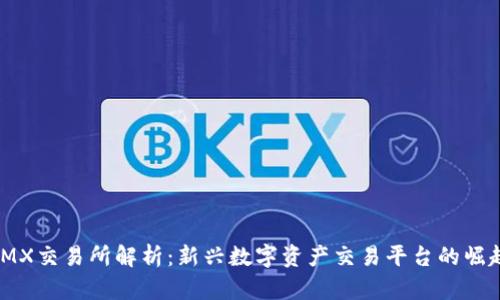 IMX交易所解析：新兴数字资产交易平台的崛起