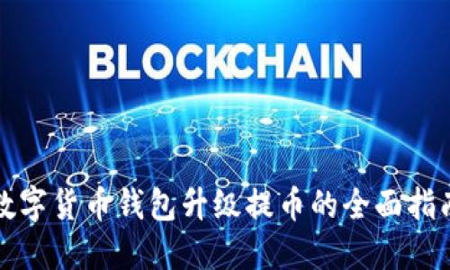 数字货币钱包升级提币的全面指南