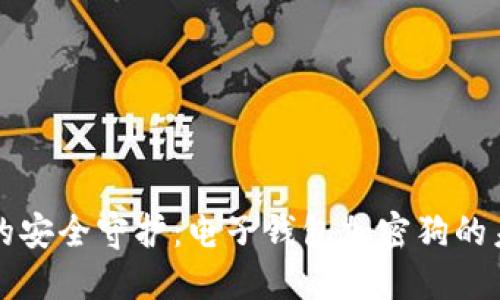 数字时代的安全守护：电子钱包加密狗的未来与应用