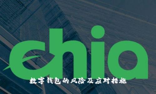数字钱包的风险及应对措施