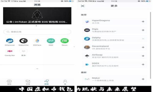 
中国虚拟币钱包的现状与未来展望