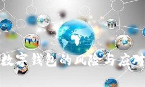 探析数字钱包的风险与应对策略