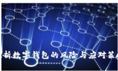 探析数字钱包的风险与应