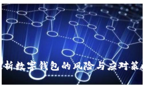 探析数字钱包的风险与应对策略