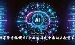  数字货币放哪里？全面解