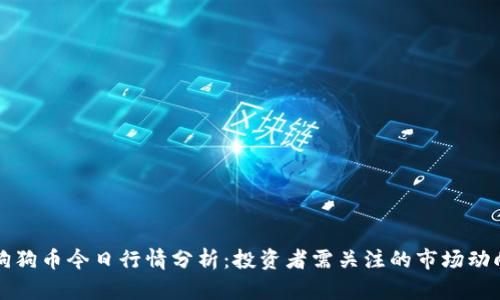 狗狗币今日行情分析：投资者需关注的市场动向