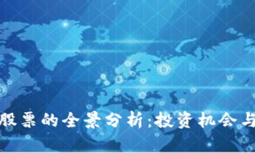 数字资产股票的全景分析：投资机会与风险评估