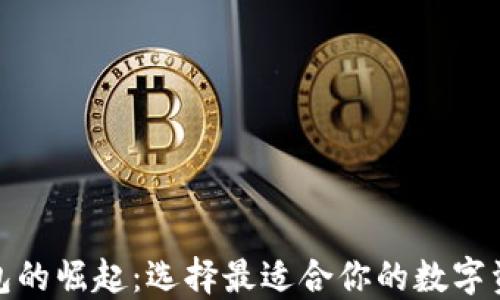 
数字货币钱包的崛起：选择最适合你的数字资产管理工具