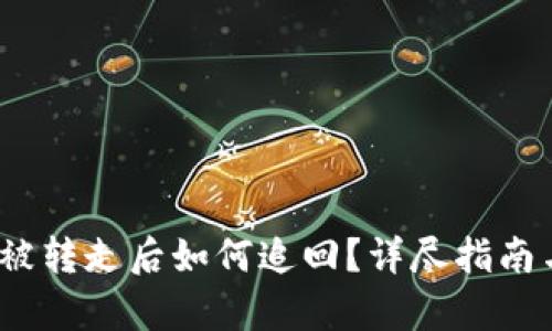  数字货币被转走后如何追回？详尽指南与有效措施