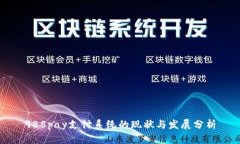 988pay支付系统的现状与发