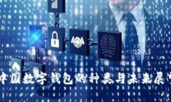 中国数字钱包的种类与未