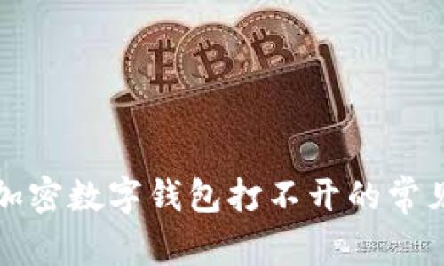 解决加密数字钱包打不开的常见问题