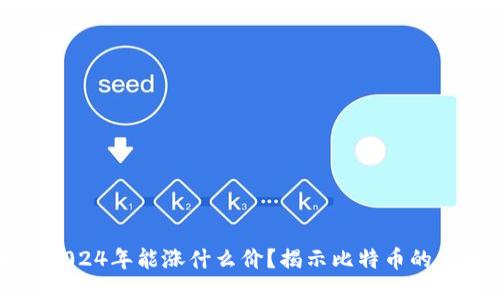 中本聪2024年能涨什么价？揭示比特币的未来趋势