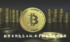 数字币钱包怎么玩：新手指南与技巧解析