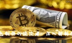 区块链钱包制作的佼佼者: 深入解析行业领导者