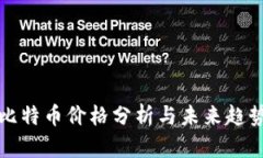 比特币价格分析与未来趋