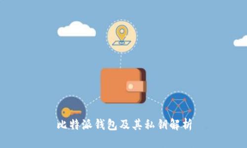 比特派钱包及其私钥解析