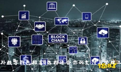 国外数字钱包推荐：选择适合你的支付与管理工具