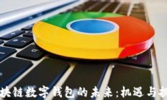 区块链数字钱包的未来：机遇与挑战