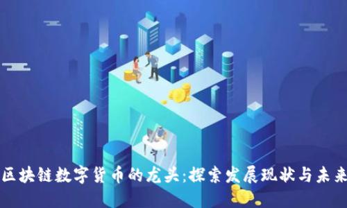 中国区块链数字货币的龙头：探索发展现状与未来趋势
