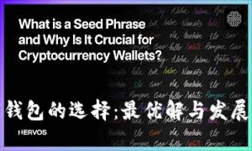 数字钱包的选择：最优解与发展前景