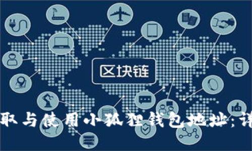 如何获取与使用小狐狸钱包地址：详细指南