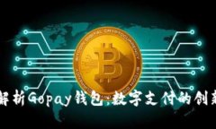 全面解析Gopay钱包：数字支