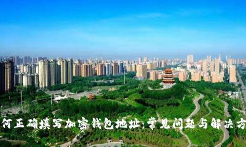 如何正确填写加密钱包地址：常见问题与解决方案