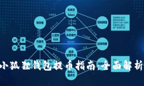 MetaMask小狐狸钱包提币指南：全面解析及操作步骤