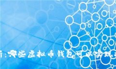  全面解析：哪些虚拟币钱