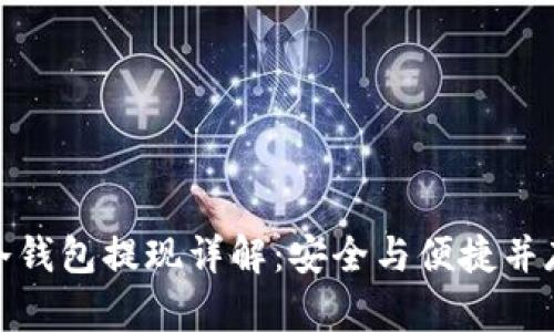 冷钱包提现详解：安全与便捷并存