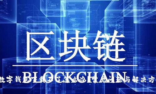  数字钱包下载不了怎么办？常见问题与解决方案