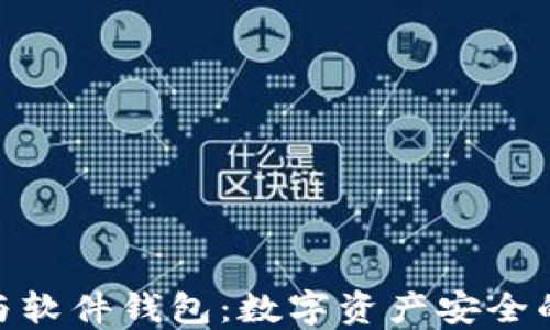 
硬件钱包与软件钱包：数字资产安全的选择之道