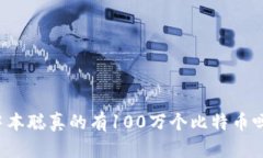 中本聪真的有100万个比特