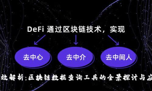 高效解析：区块链数据查询工具的全景探讨与应用