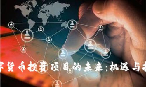 数字货币投资项目的未来：机遇与挑战