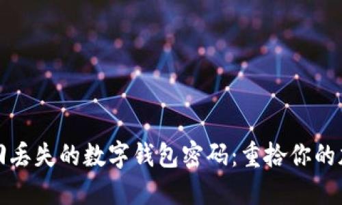 如何找回丢失的数字钱包密码：重拾你的加密资产