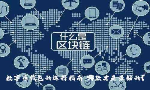 数字币钱包的选择指南：哪款才是最好的？