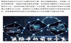  : 波场币的前世今生