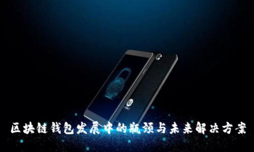 区块链钱包发展中的瓶颈与未来解决方案